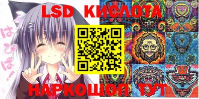 крисы Обь