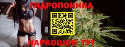 крисы Обь