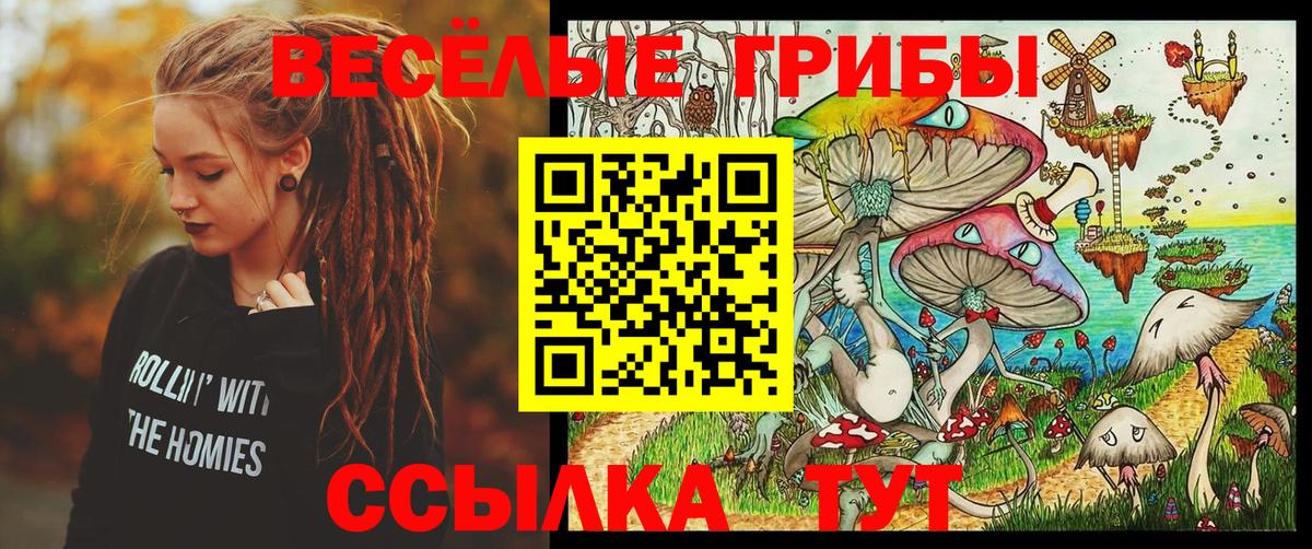Псилоцибиновые грибы ЛСД  Галлюциногенные грибы Psilocybine cubensis  Вход с VPN  Сердобск 